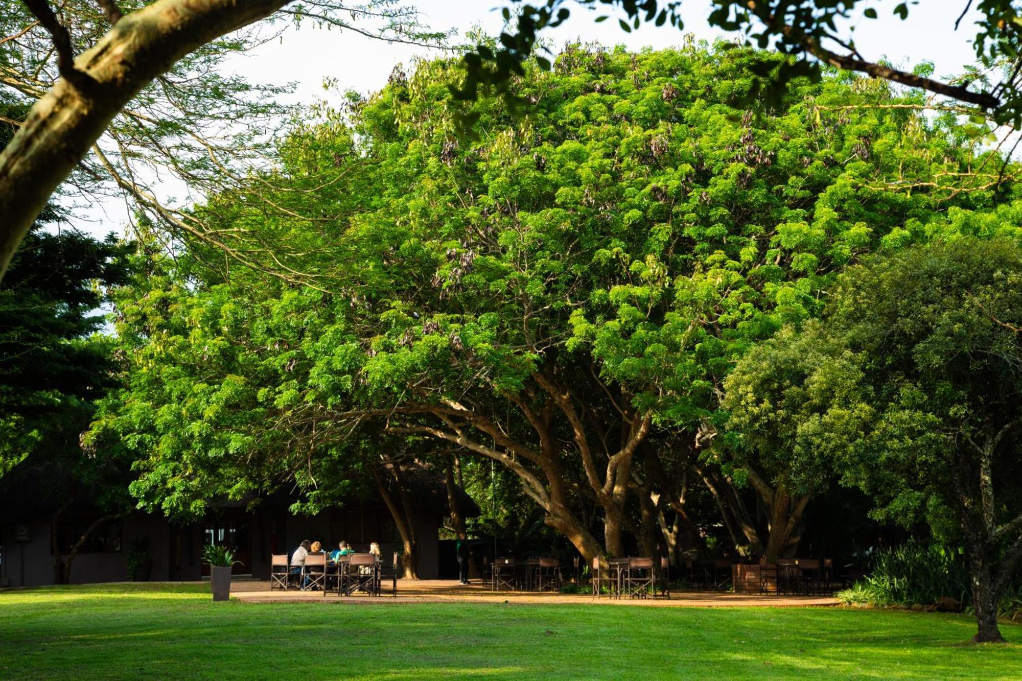 Falaza Game Park And Spa Hluhluwe Extérieur photo